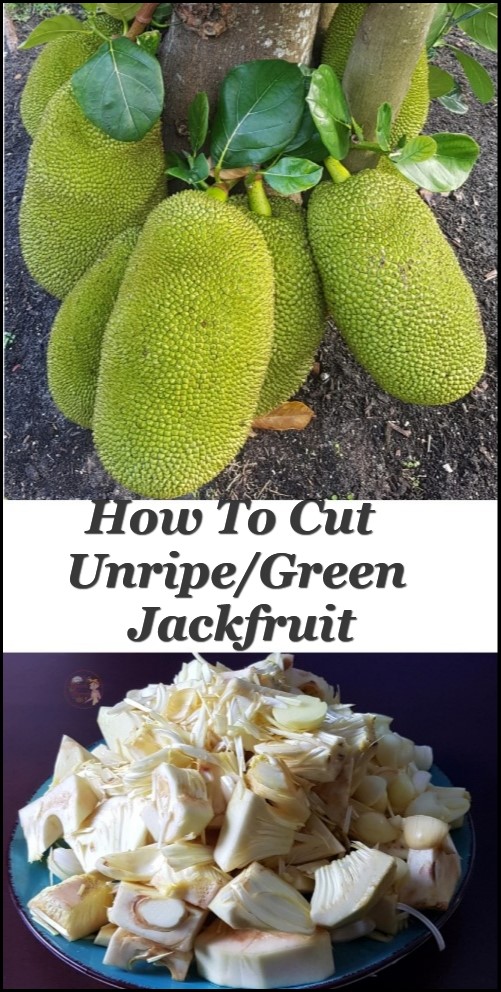 How To Cut Unripe(Raw/Green) Jackfruit and How to Store the Jackfruit