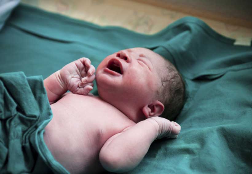 El bebé recién nacido El bebé recién nacido