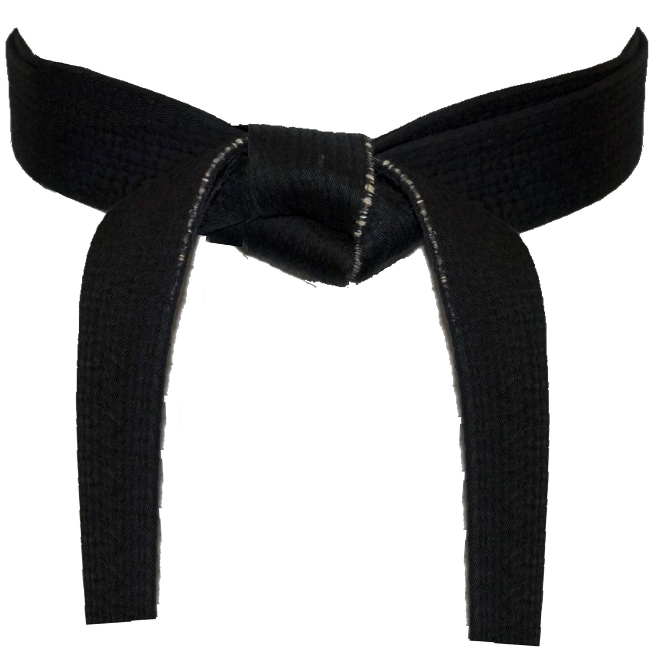 Black Belt In Karate 31