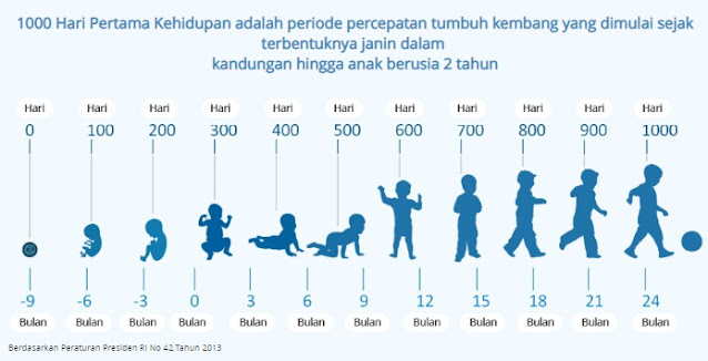 fase perkembangan anak dalam 1000 hari kehidupan