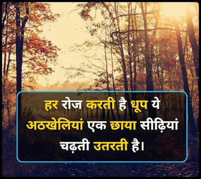 Dhup Par Shayari In Hindi