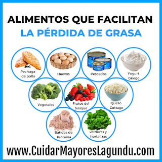Alimentos Que Facilitan La Perdida De Grasa ebook libro