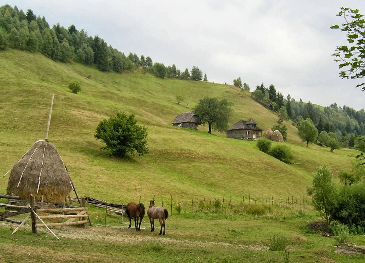 The Art of the Romanian Haystack ~ Kuriositas
