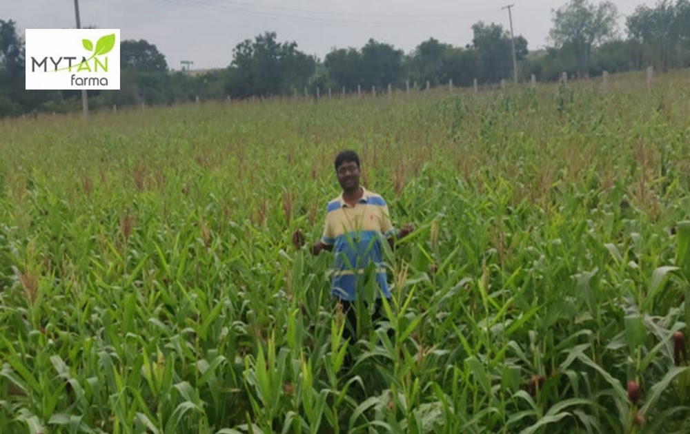 Best Agro Farm Land Company in Bangalore What Are The Reason That Will