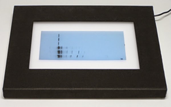 A4 White light box A4白光照射燈板