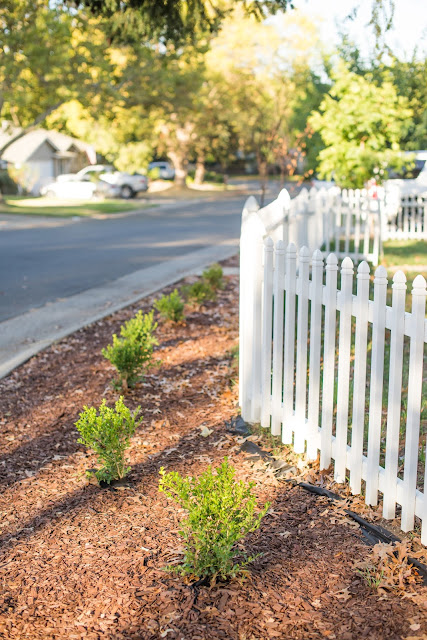 Domestic Fashionista: Updated Front Yard Garden Bed
