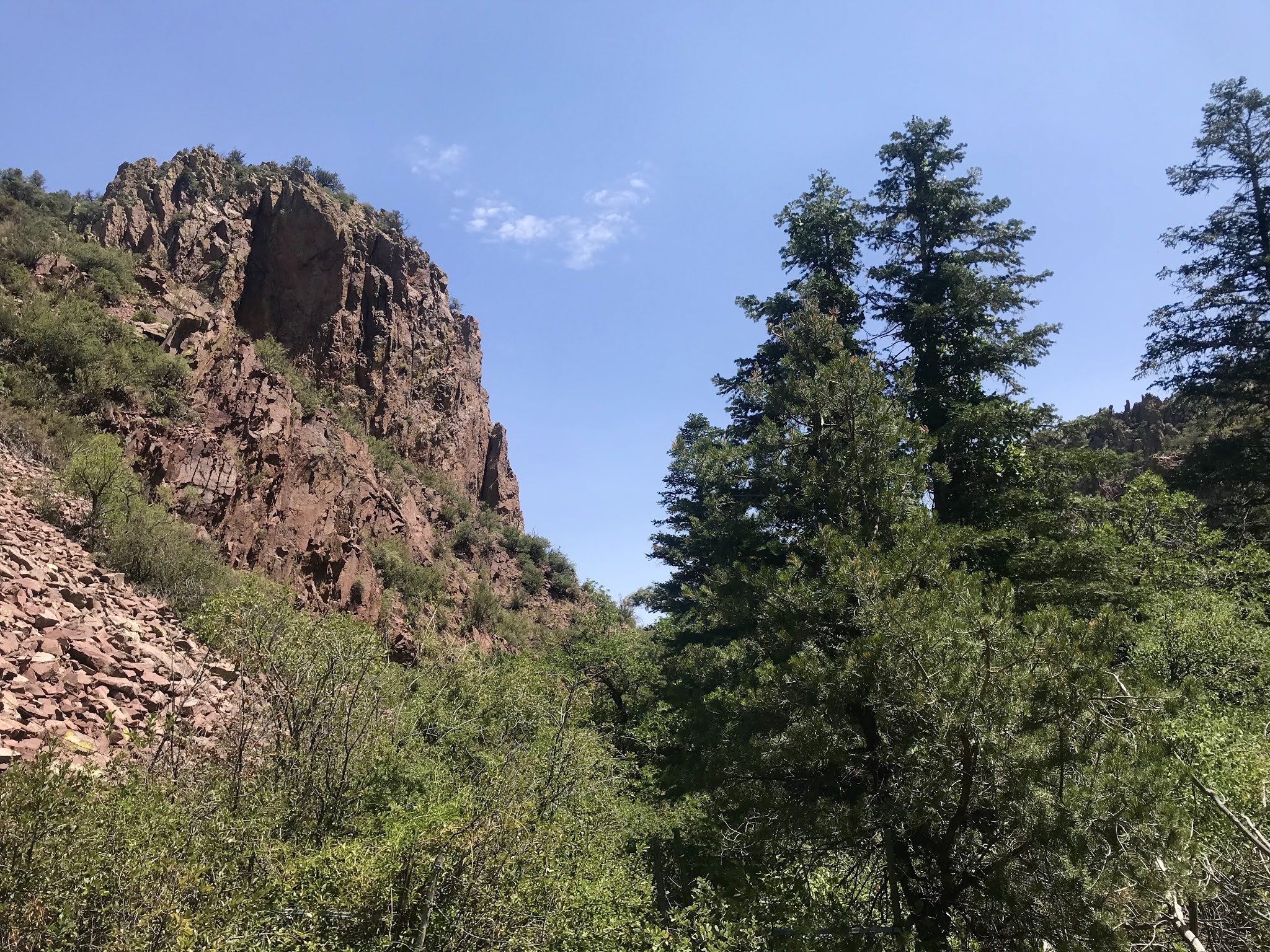 Southern New Mexico Explorer Magdalena Mountains, Cibola National
