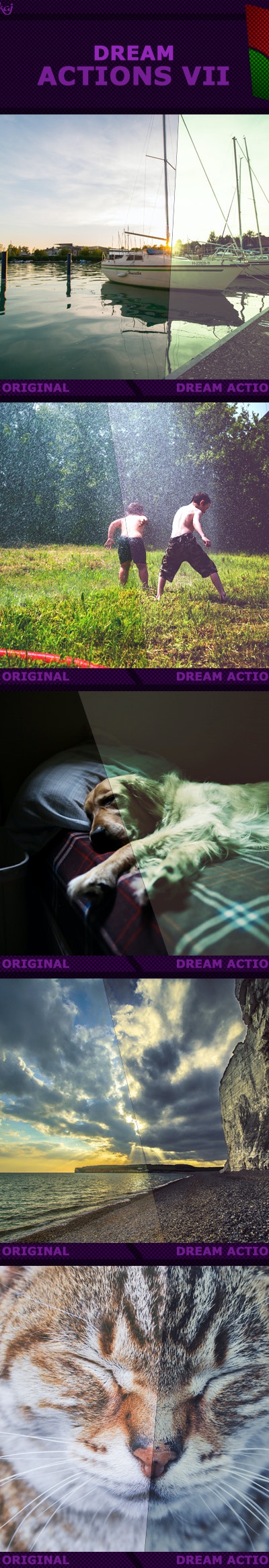 Dream%2BActions%2BVII%2Bpreview
