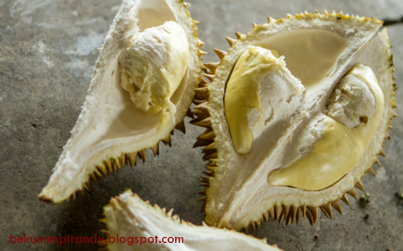 12 Arti Mimpi Tentang Buah Durian Menurut Islam Primbon Buku Mimpi