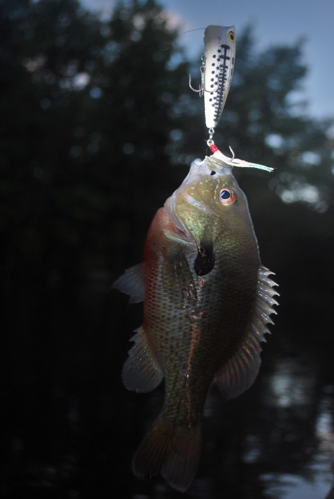 Litton's Fishing Lines Split Rock Reservoir Smallmouth and Largemouth