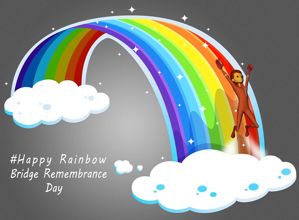 Rainbow Bridge Remembrance Day