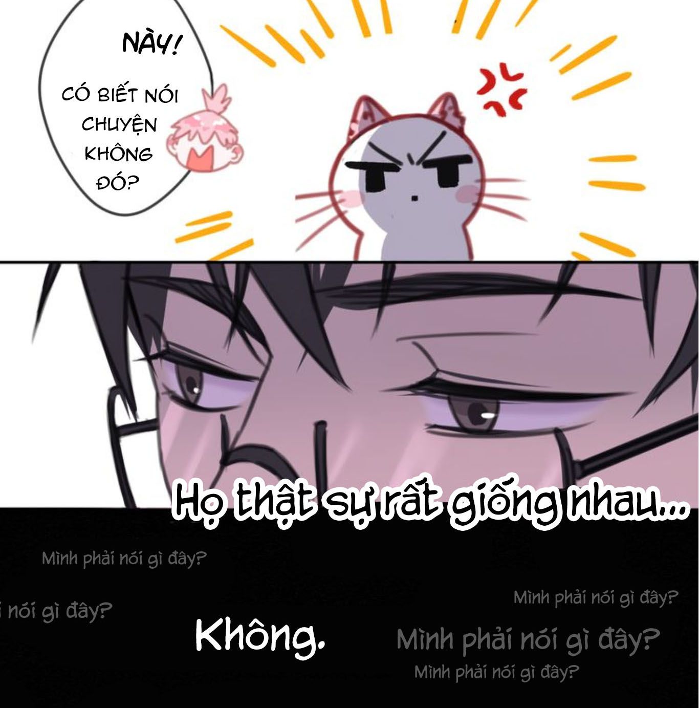 Đọc truyện Thế giới của một chú mèo - Chapter 7