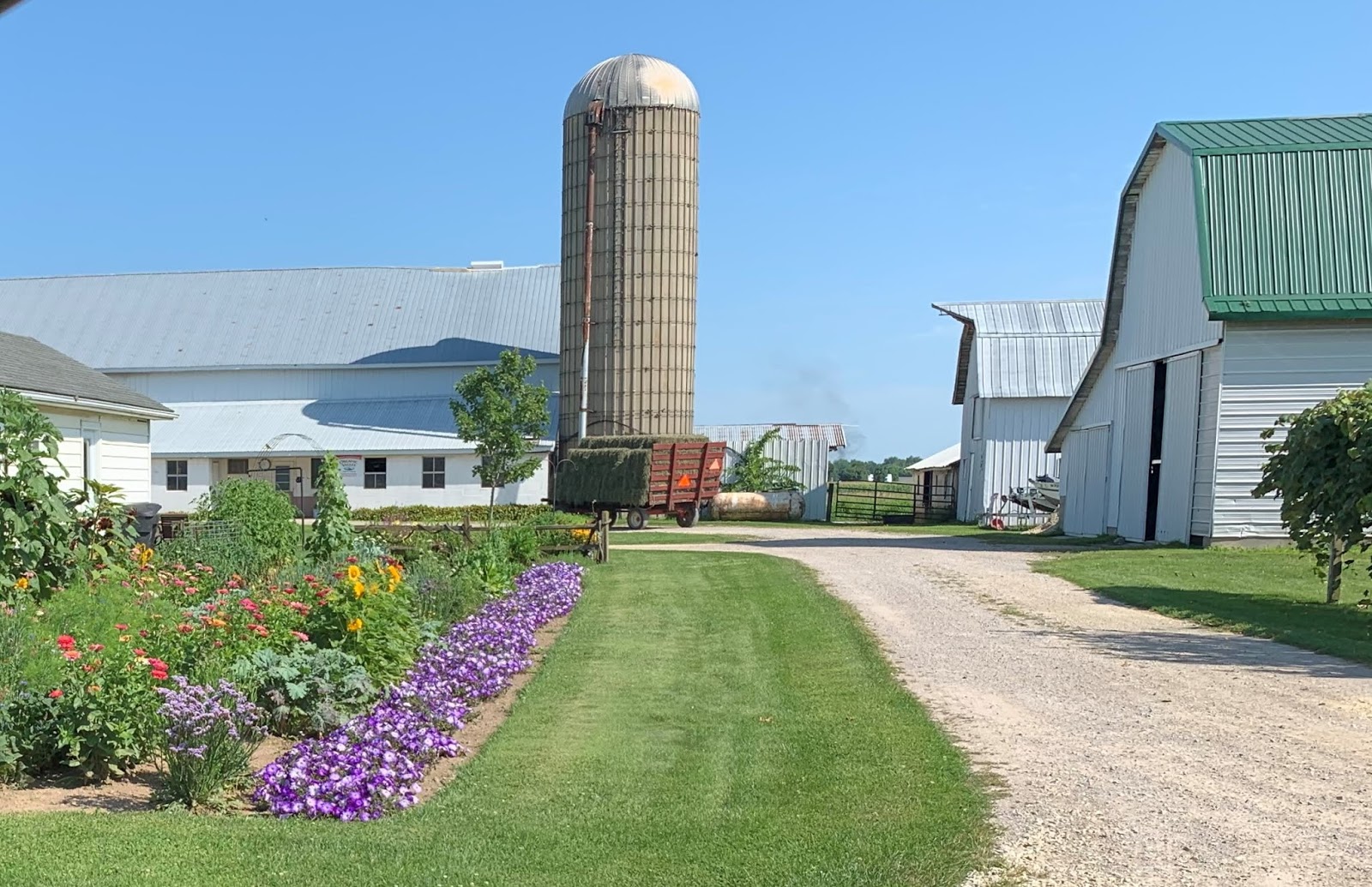 Amish Horses Amish Garden Tour