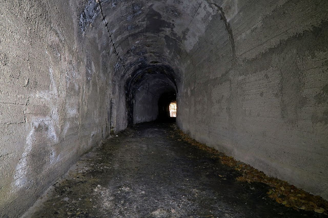 Сегодня в Европе и США насчитывается несколько десятков брошенных железнодорожных тоннелей с демонтированными рельсами