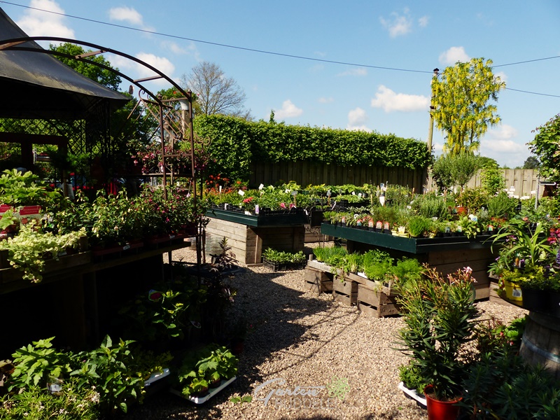 Gartenbuddelei Garten Picker Teil 2