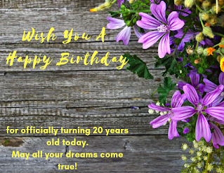 50 Best Happy Birthday Son wishes, HD images, status, SMS, quotes in English for WhatsApp free download,