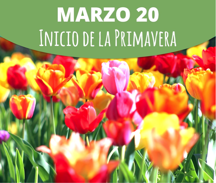 Semanario Espresso 20 de marzo. Inicia la primavera