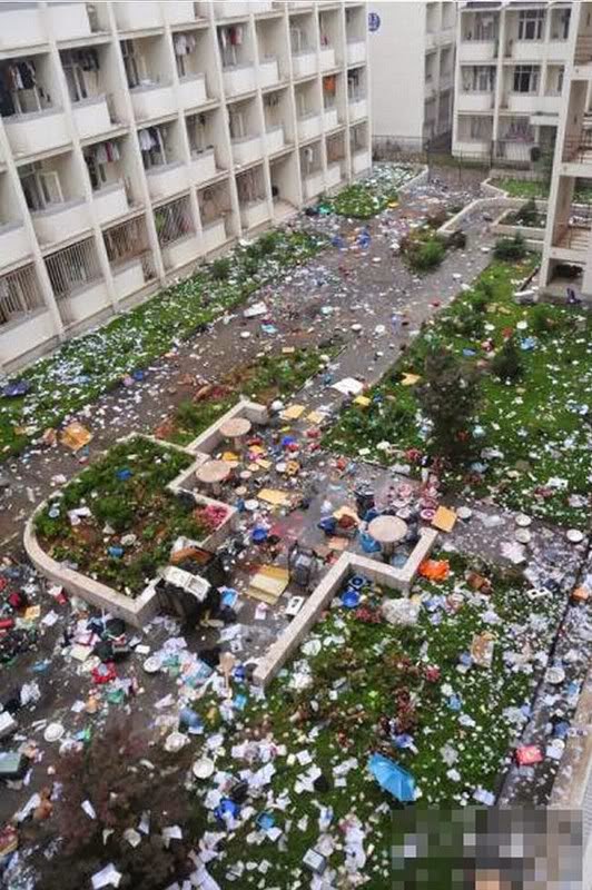 Waringin Cerdas Lingkungan: Dampak Lingkungan Kotor