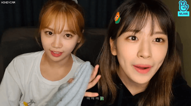 댕댕라이브 6 . 채원 유진 / 민주손  크림손