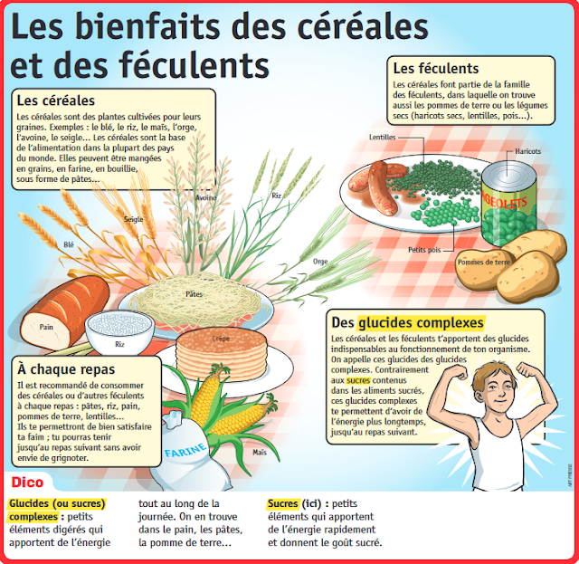 TICs en FLE: La Semaine du Goût : objectifs et proposition d'activités