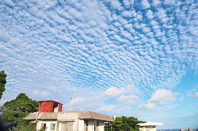 clouds, sky, buildings, trees, wires