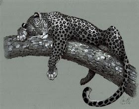02-Leopard-Sleeping-Aaron-Blaise-www-designstack-co