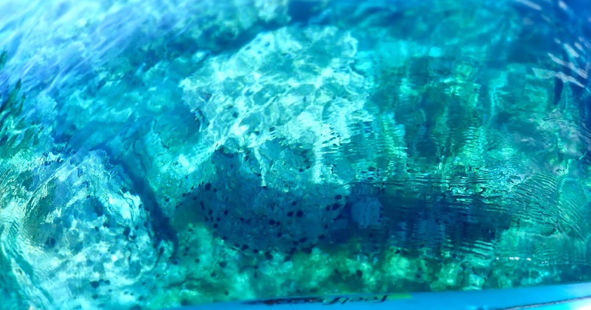 bcguides 7/14土 昼活 積丹 宝島カヤック