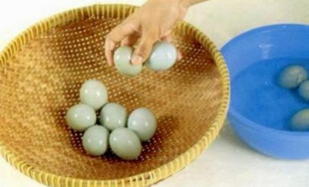 Yeni Rizkiya S Blogging And Sharing Proposal Pembuatan Telur Asin Dan Tape Ketan Hitam