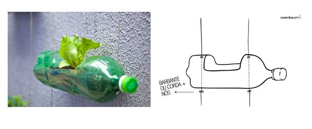 sentido común tirar a la basura Calamidad Un huerto colgante con botellas recicladas - Actividades infantil