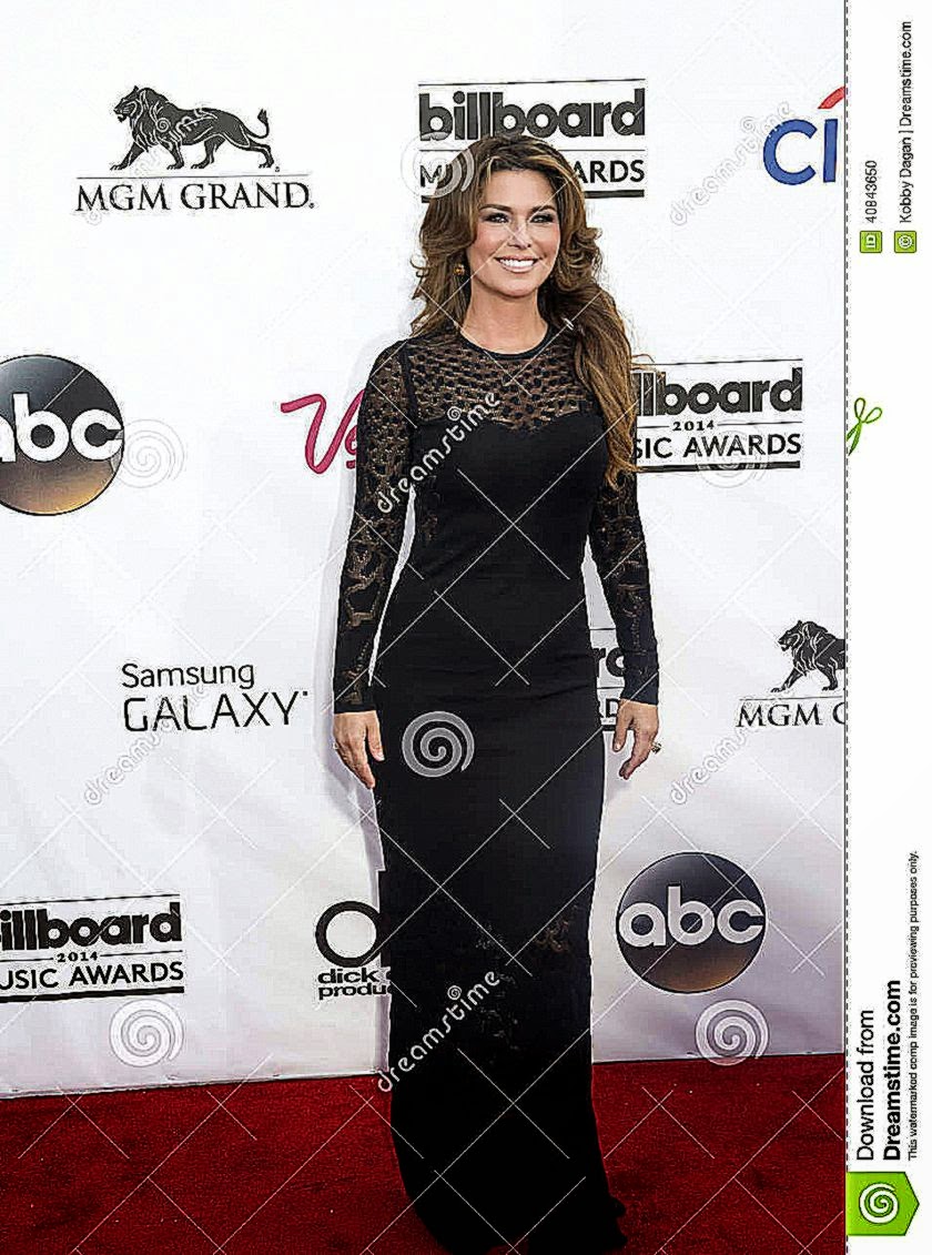 2014 Billboard Music Awards Editorial Image   Image 40843650