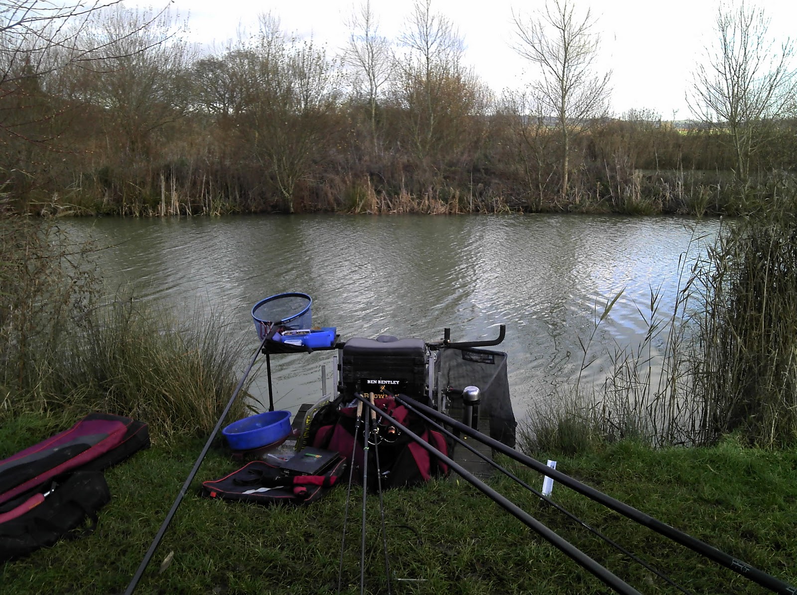 NEW 4 x Whip Ready Made Pole RIGS Hooks 12 14 16 Carp Perch Commercial Lake