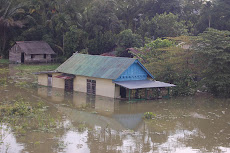 Pemerintah Lamban Tangani Korban Banjir di Jambi