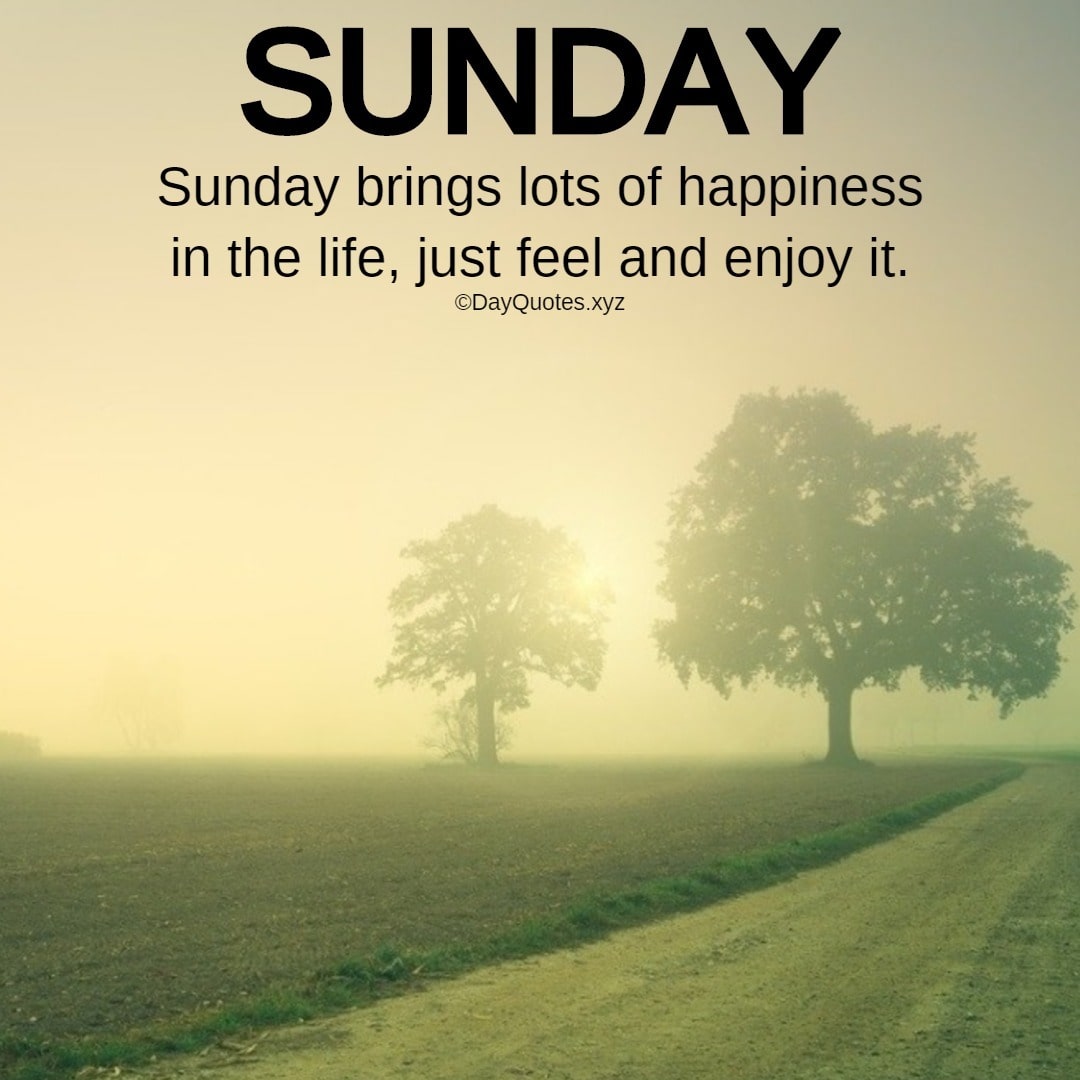 Best Sunday Quotes To Feel The Happiness Best Sunday Quotes To Feel The Happiness