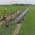 INDRHI proyecta obras para impulsar producción de arroz en Bajo Yuna
