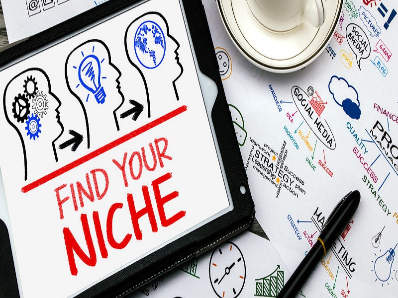 what is audience target keywords | what is niches | How many categories