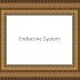 Endocrine System Endocrine System