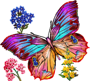 Frases Hermosas Eloisa Mariposas Gifs