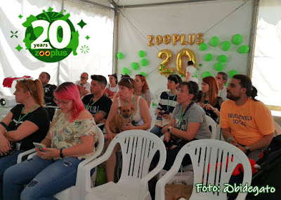 congatos congatosloloco zooplus cumpleaños 20 gato fiestaguau productos