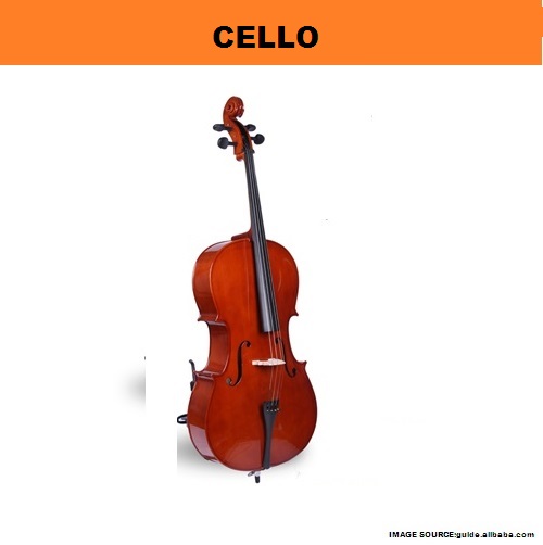 My Homeworks STRING INSTRUMENTCELLO
