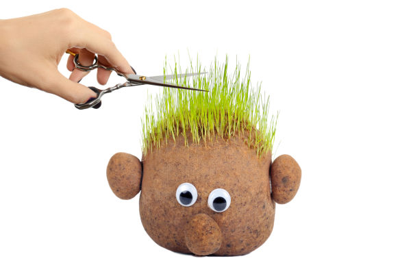 Kids love growing grass seed because it is easy to sprout and grows quickly.  These growing grass heads are super fun for spring & kids can even style their plant person's hair! #grassheadsforkids #grassheads #grassheadcraft #grasshaircupskids #kidsgardencrafts #springcrafts #gardeningforkidspreschool