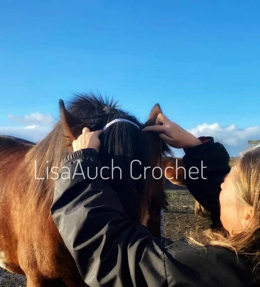 crochet horse hat - How to Crochet a Hat for a HORSE