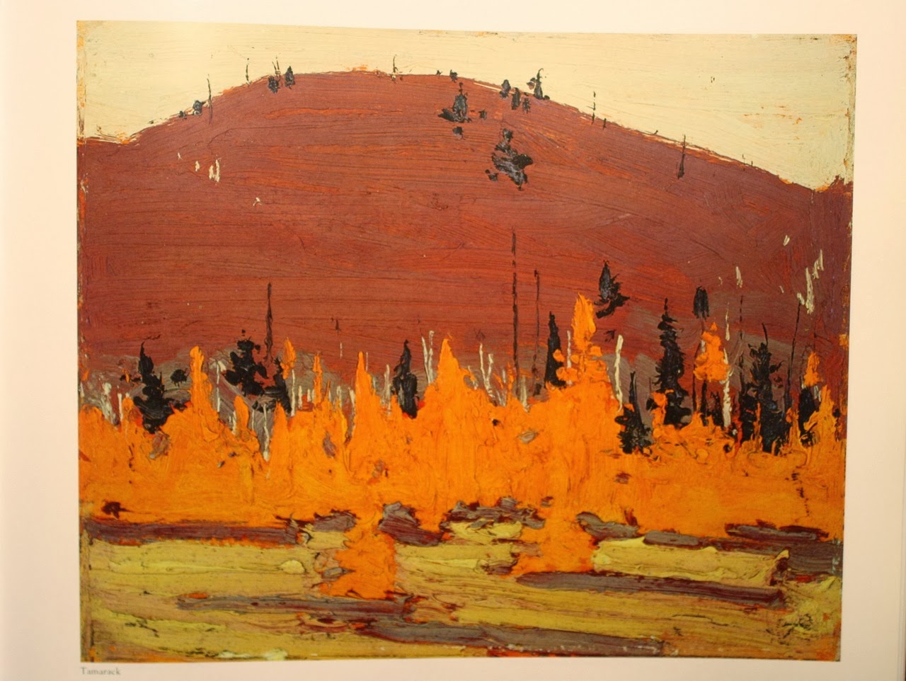 Arte! Tom Thomson, a Canadian artist