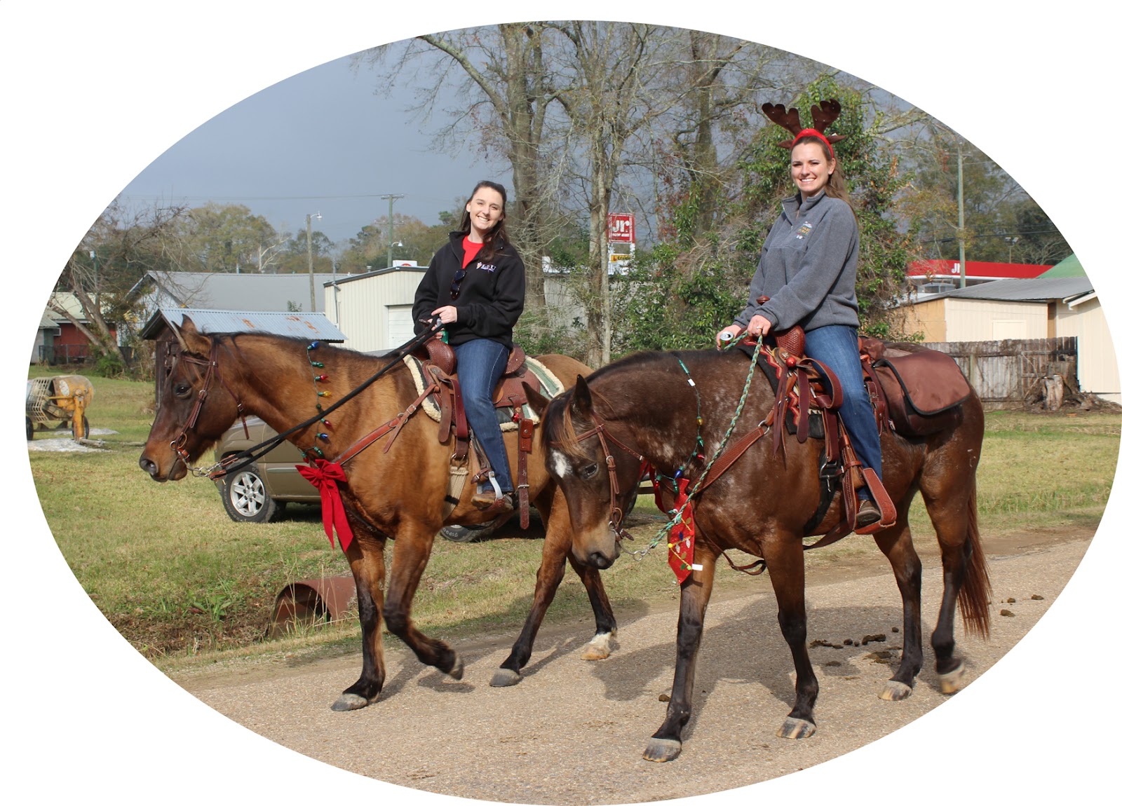 Tammany Family Folsom Horse & Wagon Christmas Parade