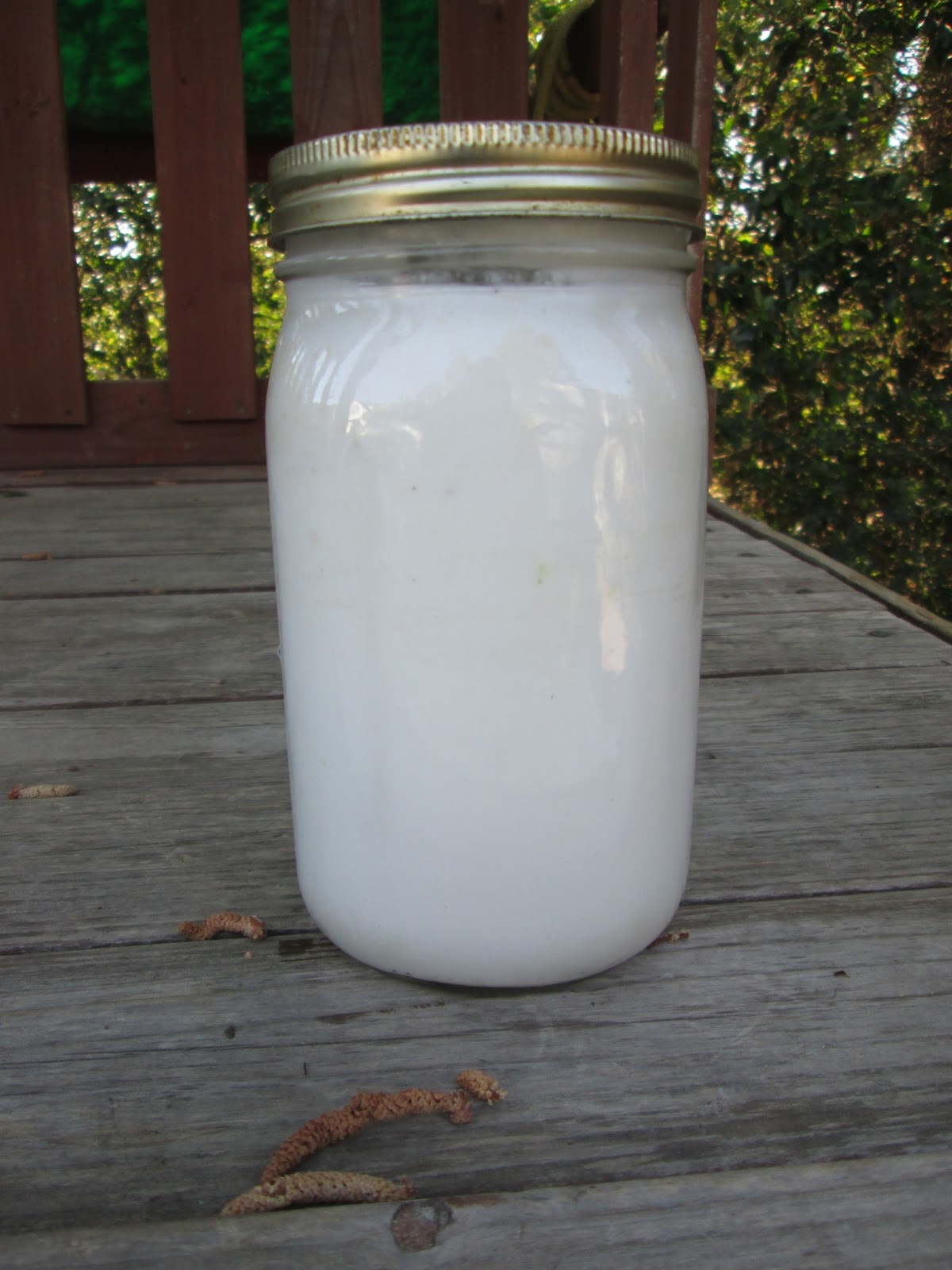 Cajun Strawberry Whipped Laundry Cream