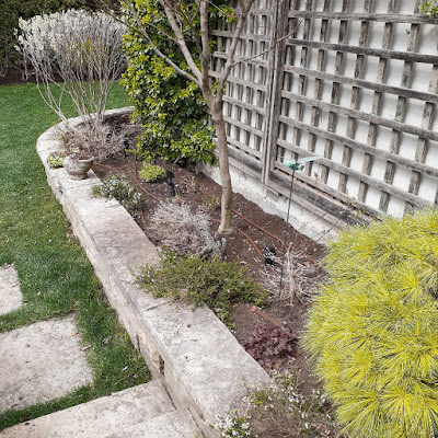 Chaplin Estates Toronto Spring Cleanup After by Paul Jung Gardening Services--a Small Toronto Gardening Company