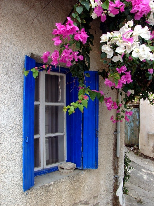 Shutters in wood &#8211; protection and style!