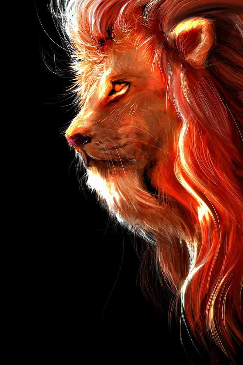 احلى صور حيوانات 2020 ، صور حيوانات غريبة و خلفيات حيوانات hd