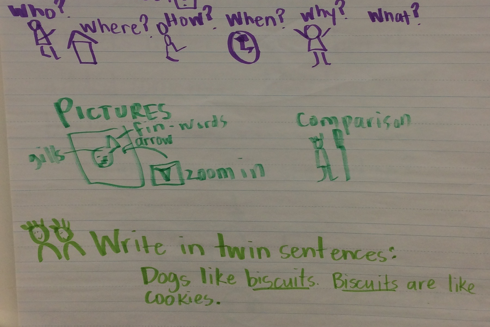 Twin Sentences Worksheet