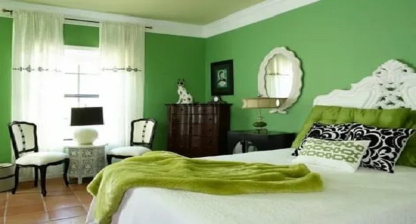 Enliven the Walls with Greens