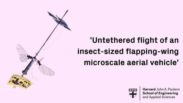 بالفيديو: جامعة هارفرد تقدم أصغر روبوت طائر!   